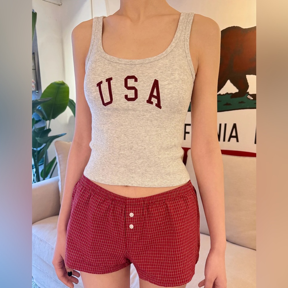 Brandy melville gray beyonca USA tank